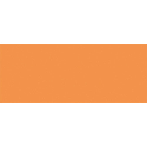 Neocolor II LIGHT FAST ORANGE 300 Caran d'ache