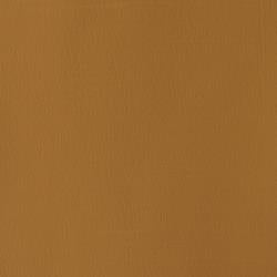 RAW UMBER 554 14 ml. S1 Designers Gouache Winsor & Newton