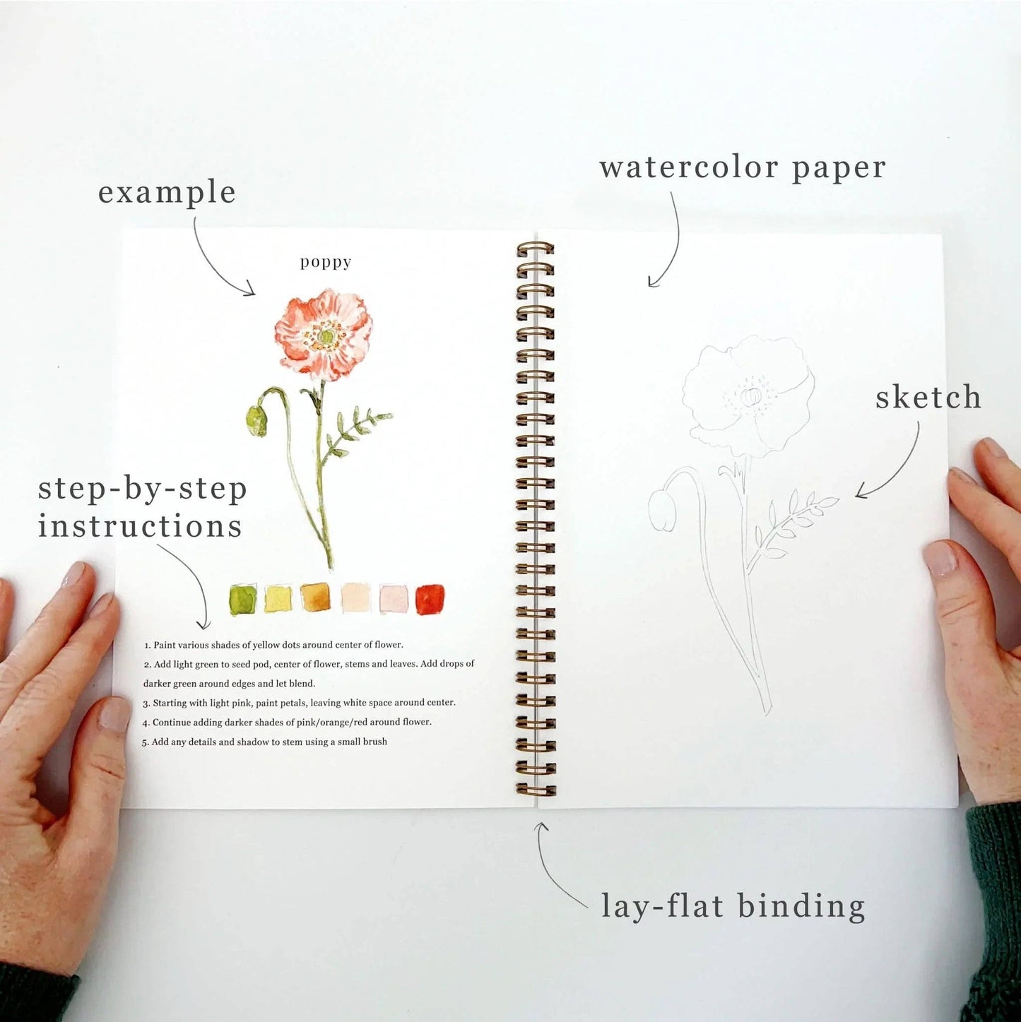 Aquarelverf werkboek - Bloemen - emily lex studio watercolor workbook