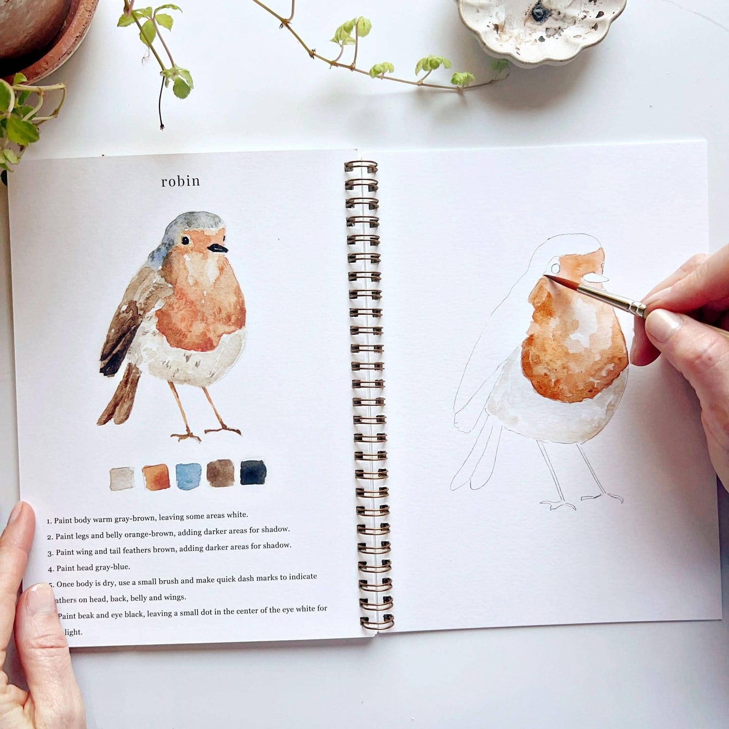 Aquarelverf werkboek - Vogels - emily lex studio watercolor workbook