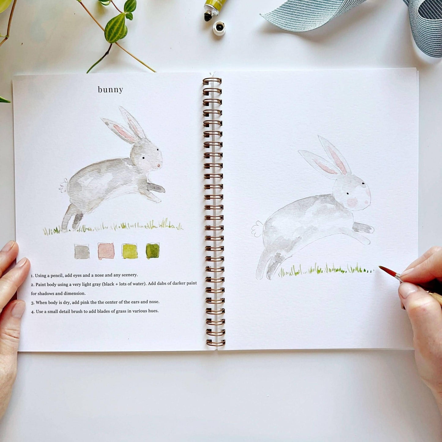 Aquarelverf werkboek - Dieren - emily lex studio watercolor workbook