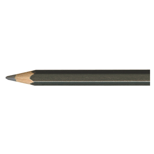 Pablo SLATE GREY  495 Kleurpotlood Caran d'Ache