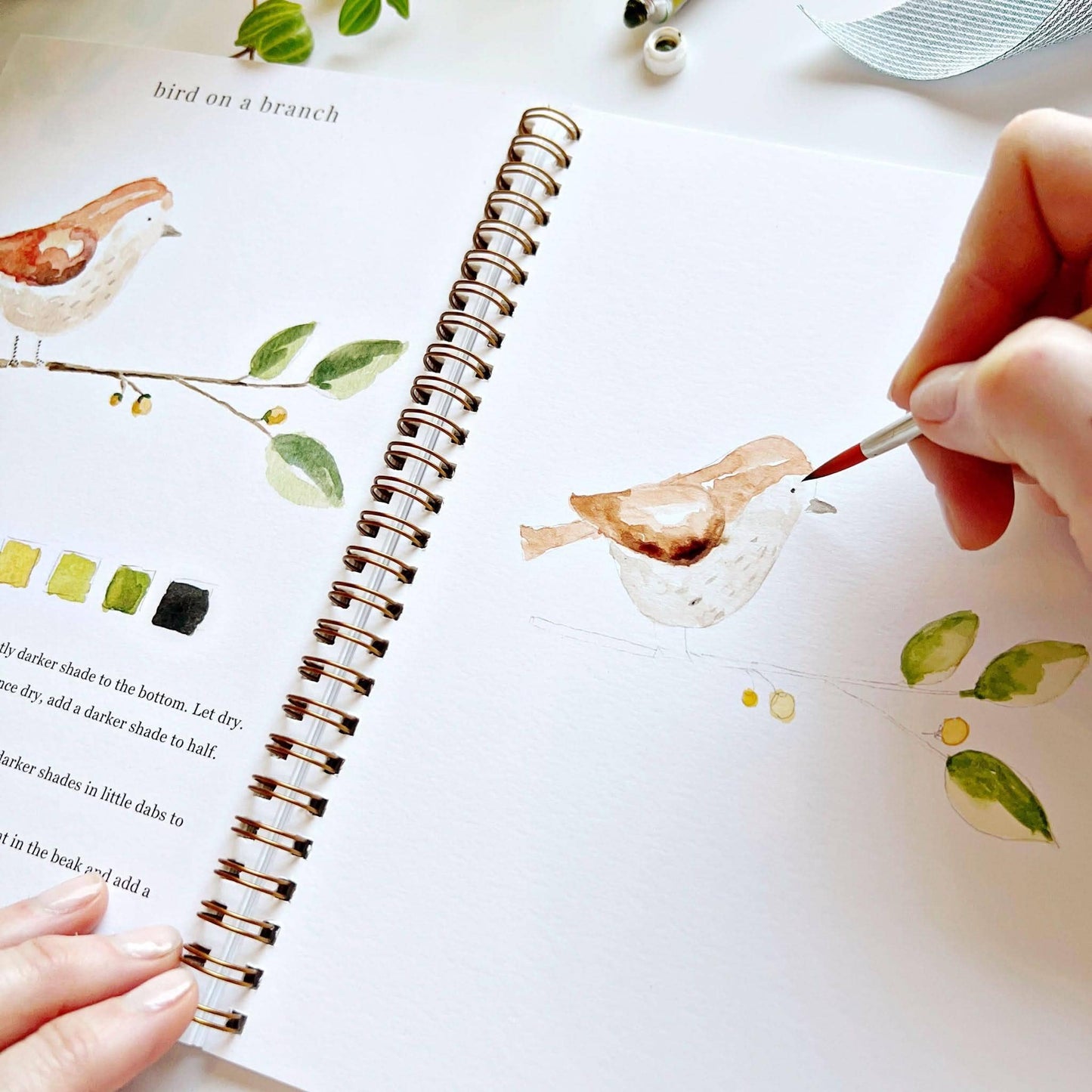 Aquarelverf werkboek - Dieren - emily lex studio watercolor workbook