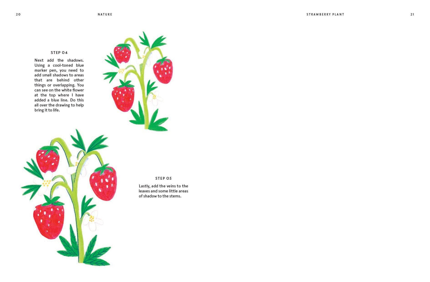 In 15 Minuten: Tekenen