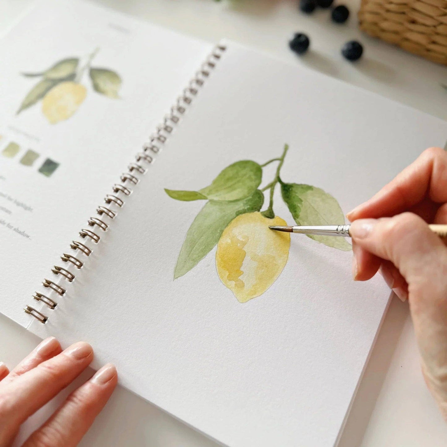 Aquarelverf werkboek - Fruit - emily lex studio watercolor workbook