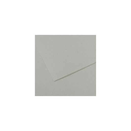 10 vel 160 grs Mi-Teintes gekleurd papier, no 354 grijs blauw 50x65cm