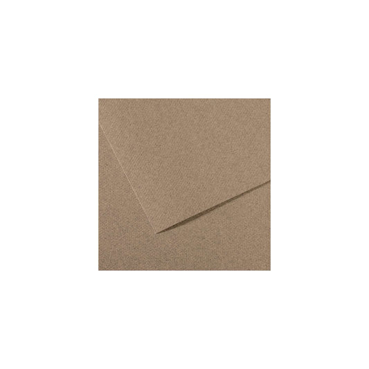 10 vel 160 grs Mi-Teintes gekleurd papier, no 431 steen grijs 50x65cm