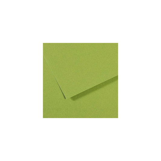10 vel 160 grs Mi-Teintes gekleurd papier, no 475 lente groen 50x65cm