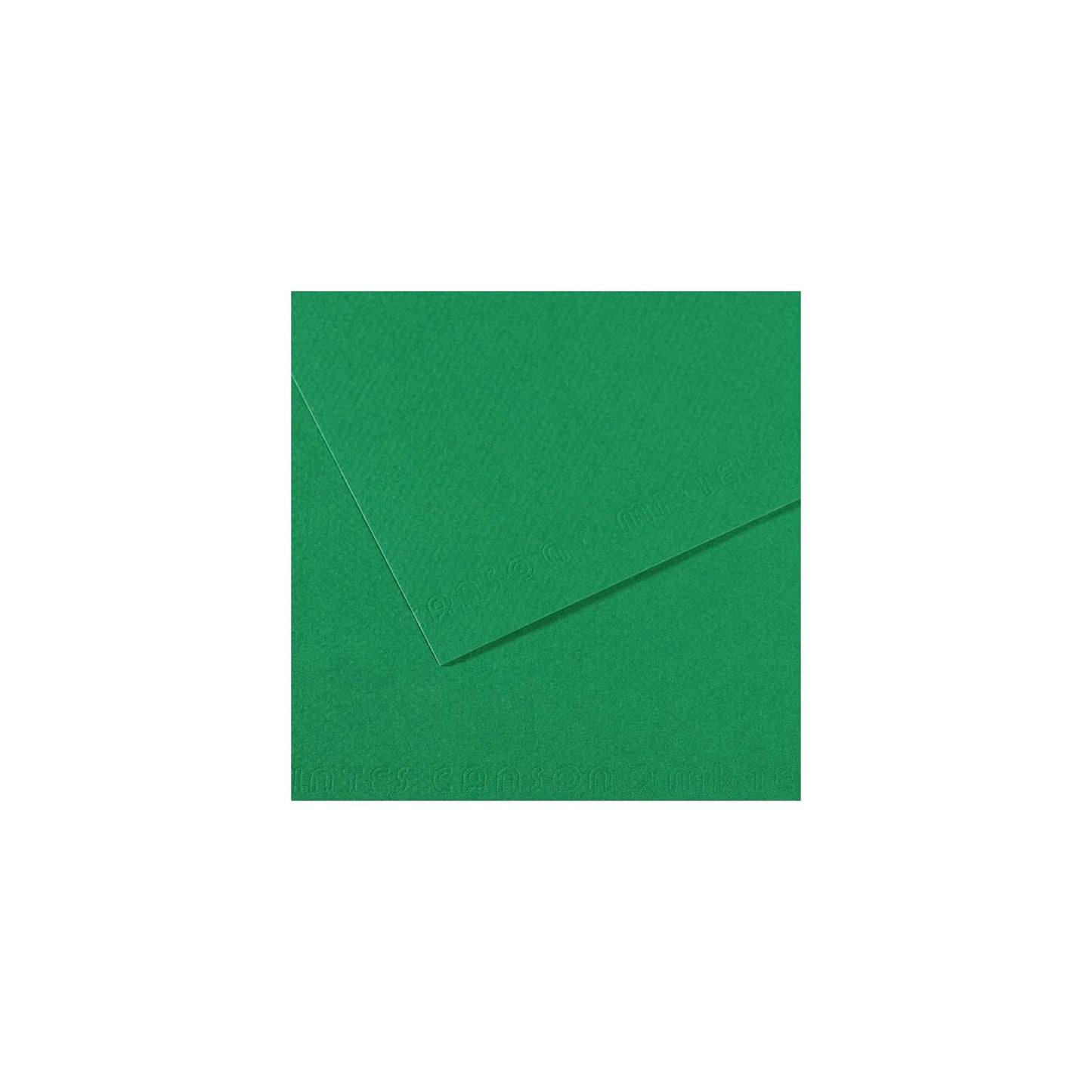 10 vel 160 grs Mi-Teintes gekleurd papier, no 575 hardgroen 50x65cm