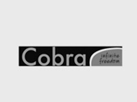 Cobra (artist)
