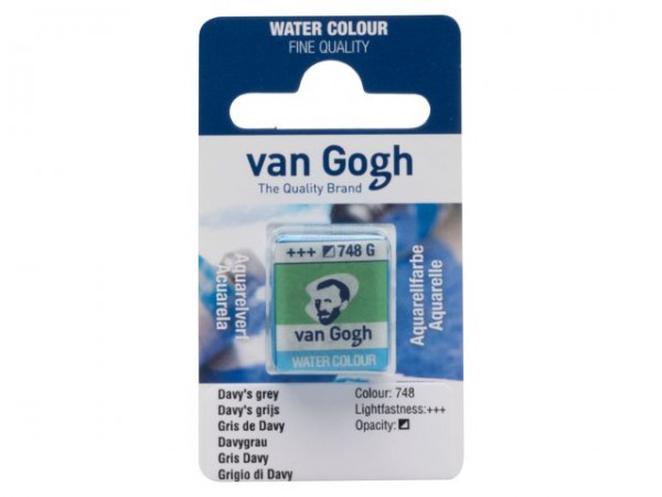 Davy's grijs 748 napje Van Gogh Aquarelverf