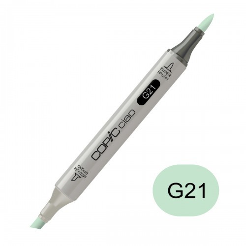 Copic Ciao marker G21