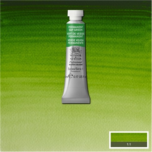 Permanent Sap Green 5ml 503 S1 Artist's Aquarel Winsor & Newton